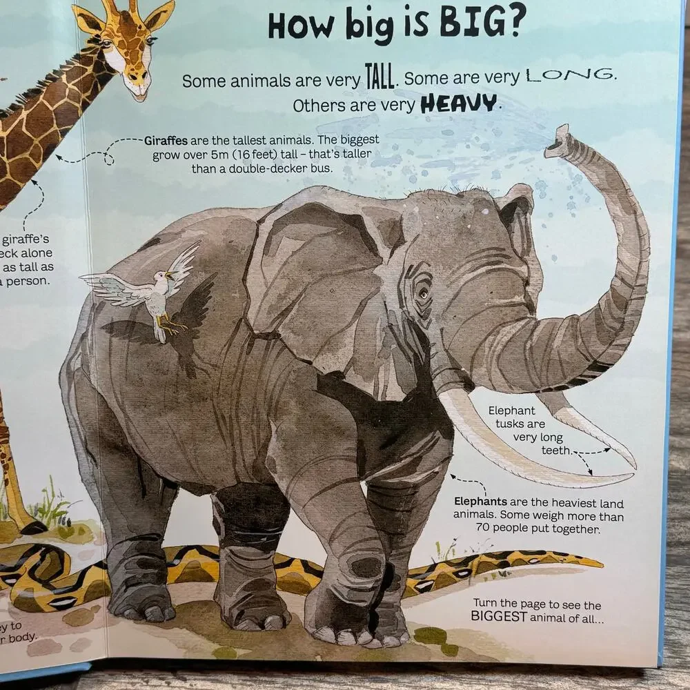 Usborne Big Book of Big Animals- EUC - Picture 3 of 4